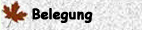 Belegung